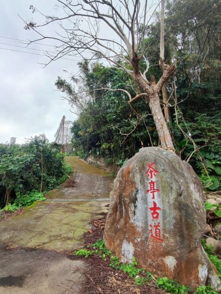 九讚頭車站-大崎棟.茶亭.逃學.騎龍古道20幾K繞大O2972545