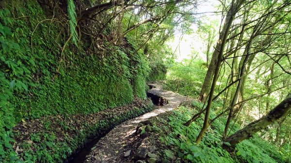 大崎頭梯田,坪頂古圳2208639