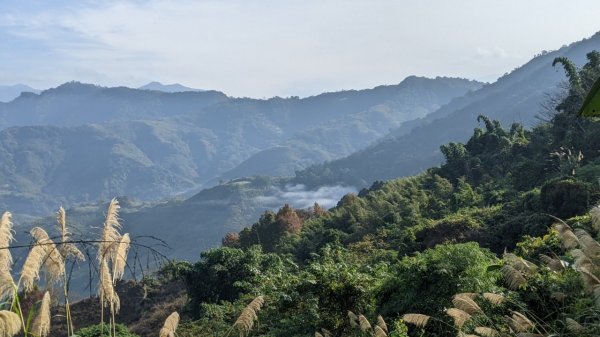 馬那邦山步道(珠湖登山口上)1585917