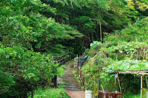 新北 雙溪 蝙蝠山、梅竹蹊山3079885