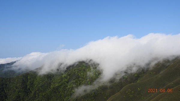 0406陽明山再見雲瀑+觀音圈，近二年最滿意的雲瀑+觀音圈同框1338254
