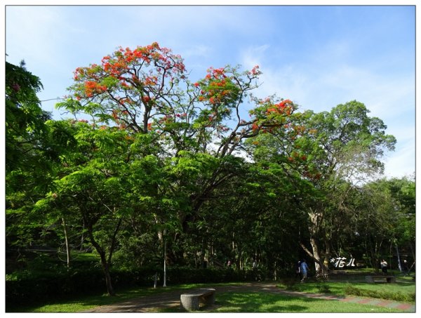 嘉義公園步道685288