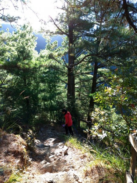 武陵四秀之桃山449049