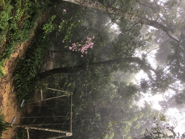 溪洲山2736208