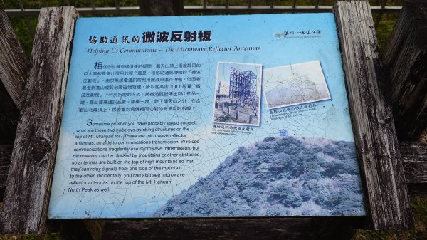 20260125 陽明山前後山健行(無極天元宮~山仔頂步道.向天池.向天山.面天山.二子坪)2998030