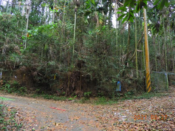 南投 埔里 舊武界越山、板仔寮山1286573