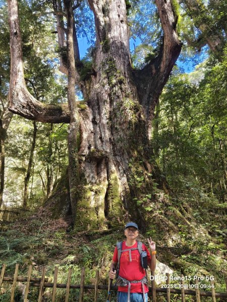 [皮皮獅探險隊-11/10] 2025_1010 隱藏任務–司馬庫斯神木群步道2912314
