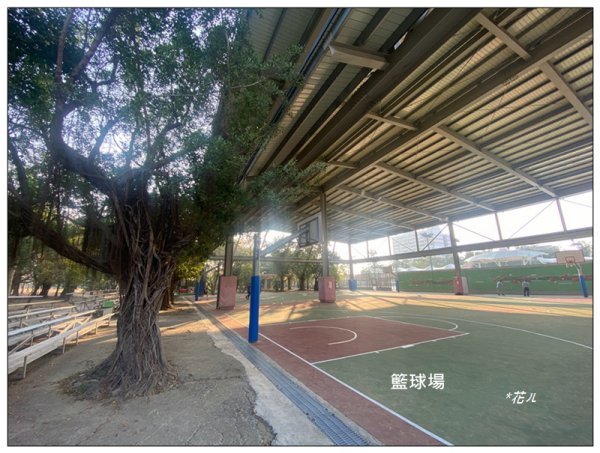 港坪運動公園 (嘉義市)3008886