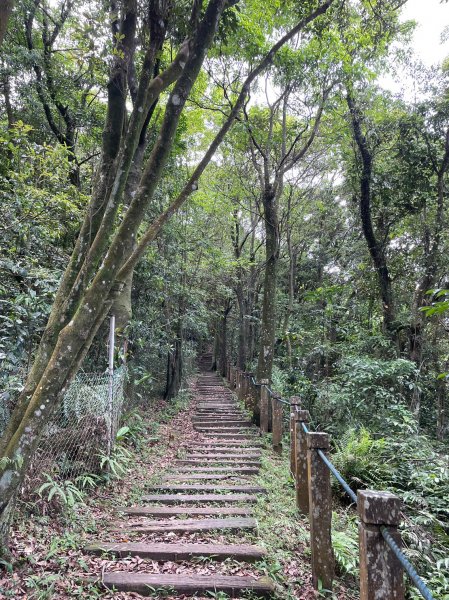 小百岳(20)-獅仔頭山-202305062158173