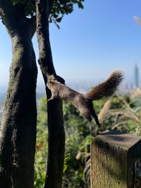 深坑越嶺南港拇指山2377648