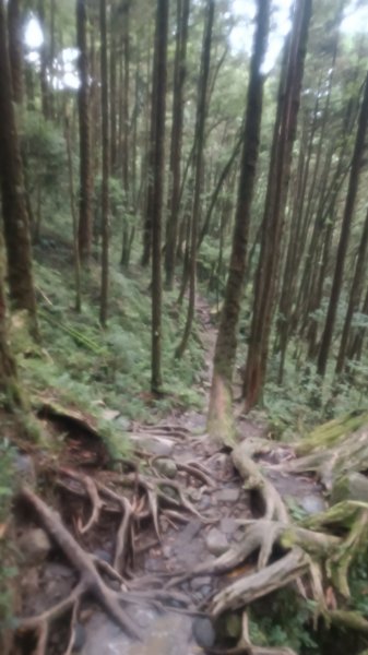 松羅湖1747269