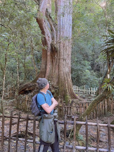 中級山-司馬庫斯2888944