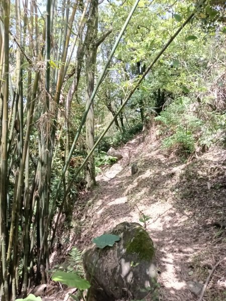 雙溪區不厭亭+牡丹山+樹梅坪+鷹石岩山神廟+不厭亭+奉憲示禁碑+三貂崙+不厭亭8字走2766299