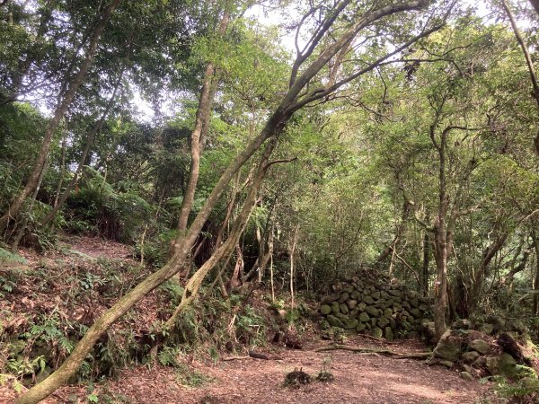 2022.07.31 【臺北大縱走第四段】大湖公園-風櫃嘴：圓覺寺瀑布、白石湖吊橋、碧山、梅花山1799433