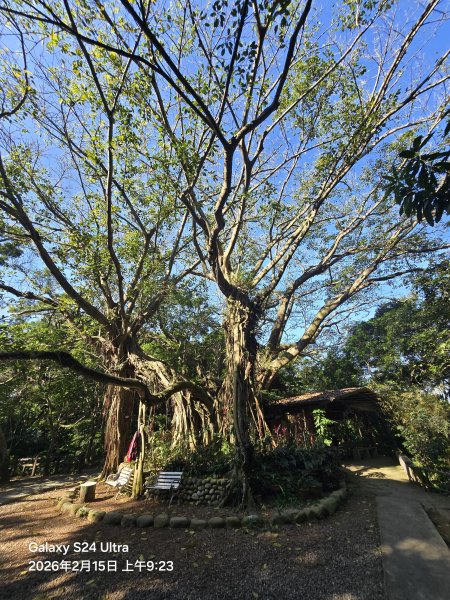 2026-02-15微笑山線：【天上山系】烘爐地土地公段3003990
