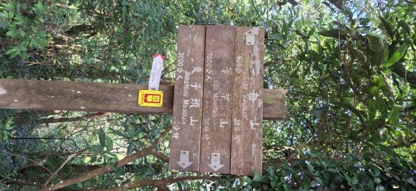 草湳二格山南窟山3122653