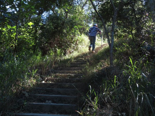 彰化桃源里森林步道+龍鳳谷森林步道2696106