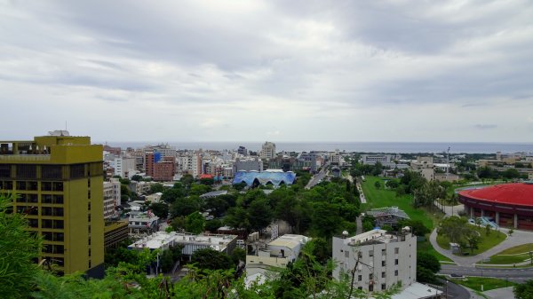 台東鯉魚山1460196