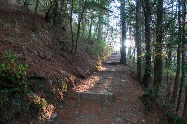 雪山東峰單日往返539564