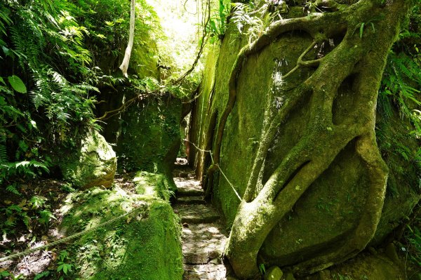 新竹 竹東 上坪山、五指山2541682