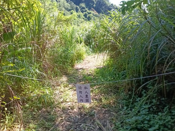 汐止區小溪瀑布+車坪寮土地公稜線2890137