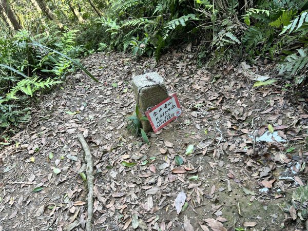桃園金面山2752273