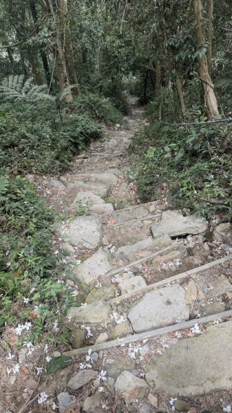 20260501小百岳尾寮山3059577