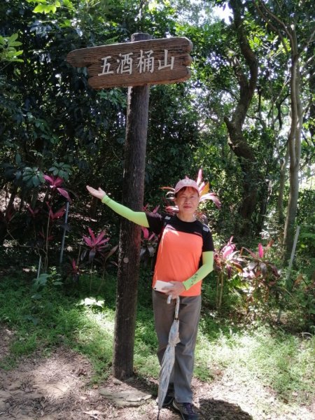 《桃園蘆竹五酒桶山、山鼻山步道醉人行》1002316