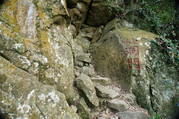 苗栗 獅潭 仙山、大窩山2984267