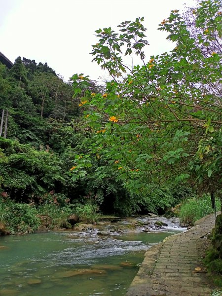 漫遊淡蘭古道石碇段：淡蘭山徑-外按古道、烏塗溪步道1529422