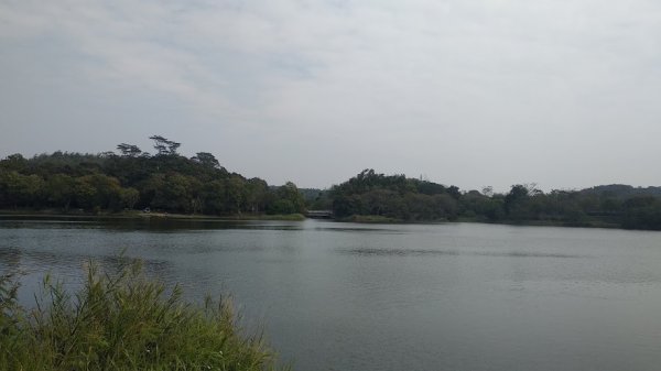 2020 2/4 虎頭埤878937