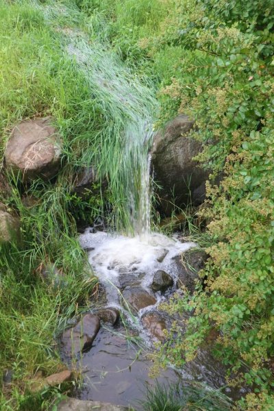 小百岳NO.14 深坑土庫岳。更寮古道 山豬窟尖，小南港山，南港山水綠生態公園2258381
