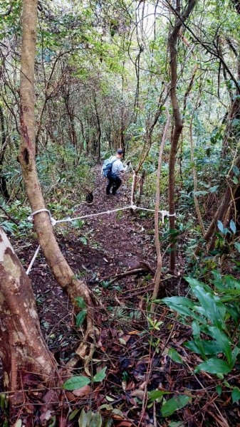 平溪大湖格隧道，石底觀音山、刀石崙、一坑古道O型1970861