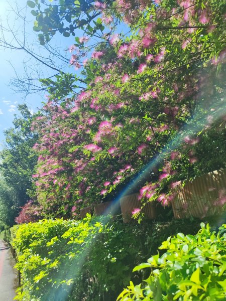 2025台北大縱走二刷2818073