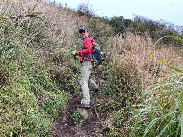 小觀音山群峰【當登山遇到惰性來襲時…】2686366