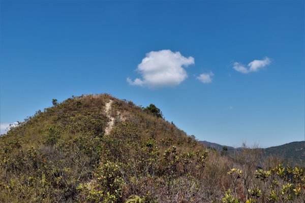 HK - 長山、太墩1458000