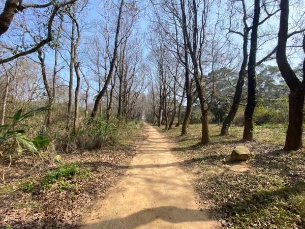 苗栗頭份-老崎古道2628338