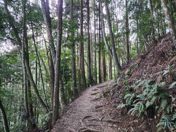 小百岳No.34⛰加里山2424175