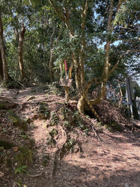 小百岳-暗影山2723511