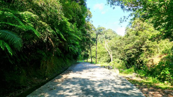 柯子林保甲路,如意湖,五指山古道2848882