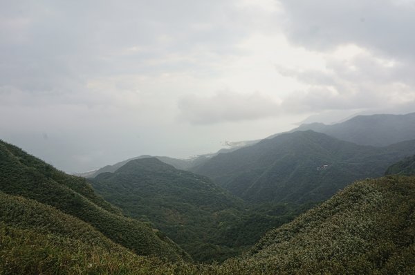 灣坑頭山 桃源谷步道 連走2034848