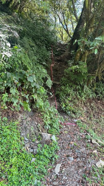 20251004-06戒茂斯嘉明湖2914195