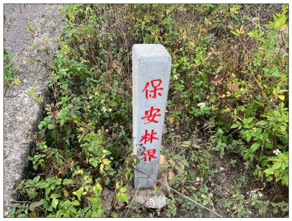 公司寮山 ( 苗栗、後龍 )3006156