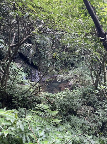 蛇子形古道2511206