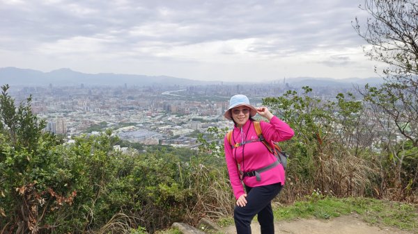 (姨婆趴趴走)第五十集:新北樹林大同山、青龍嶺、大棟山諸峰連走2751580