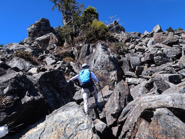 南橫溪頭山2549757