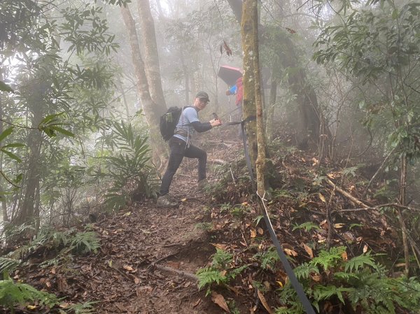 馬那邦山.細道邦山【你 不能預判山的變幻莫測】2401516