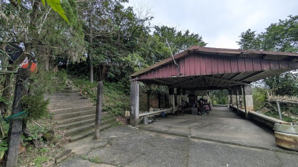 114.12.20劉銘傳隧道-獅球嶺北峰-獅球嶺東砲台山-獅球嶺池-獅球嶺砲台山之旅2966708