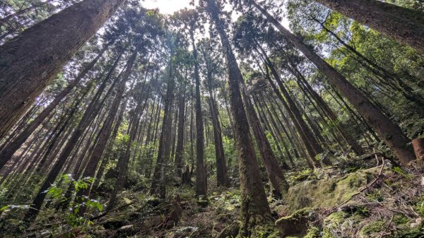 橫沙笛縱走 (木馬古道、橫嶺山、沙蓮山、笛吹山)2550375