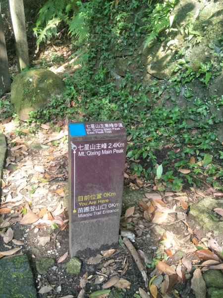 七星山主、東峰登山步道1682124